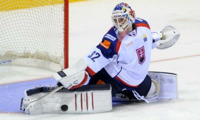 jaroslav janus slovensko vs cesko apr2013 tasr