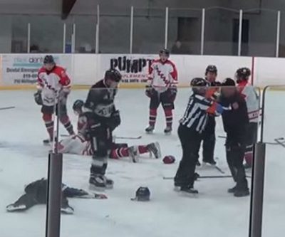 Referee Trainer Fight