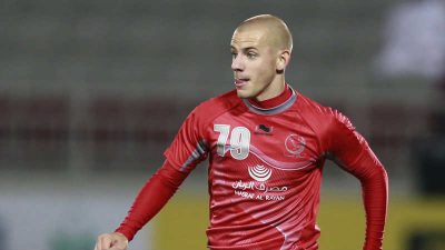vladimir weiss