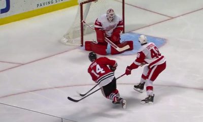 panik