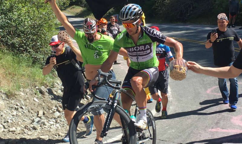 sagan 1