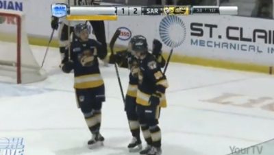 molnar erie otters
