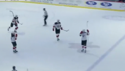 nemec goal