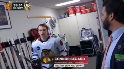 bedard stick