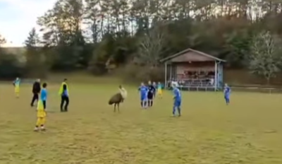 pstros futbal